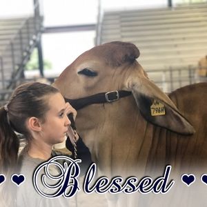 Meet your Posher, Shayna